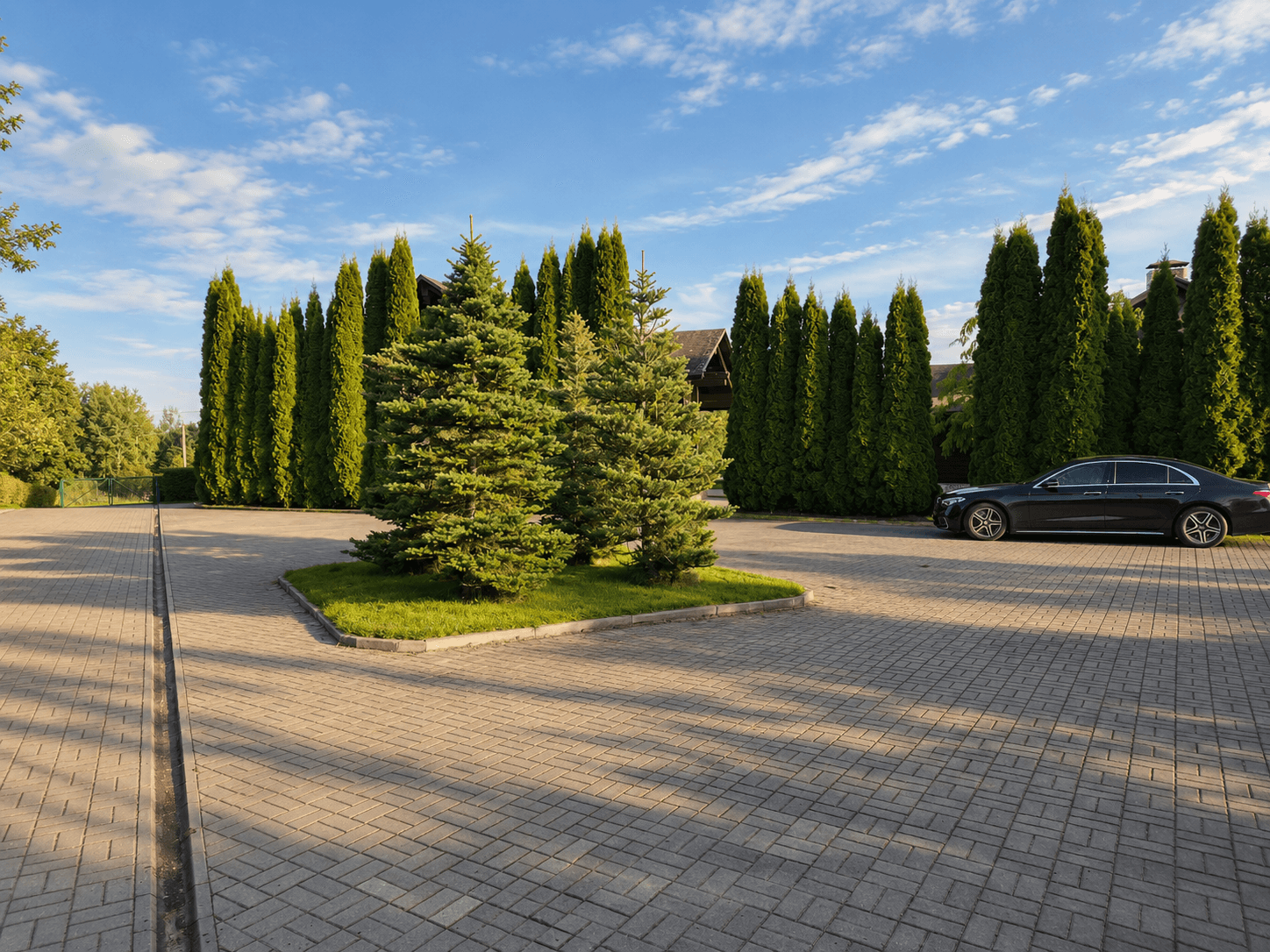 The driveway and parking area