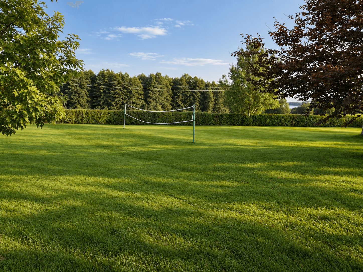 Lawn with a volleyball net